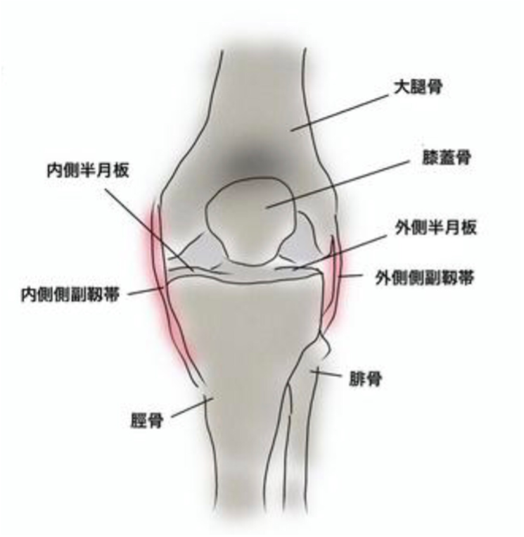 膝関節のイメージ